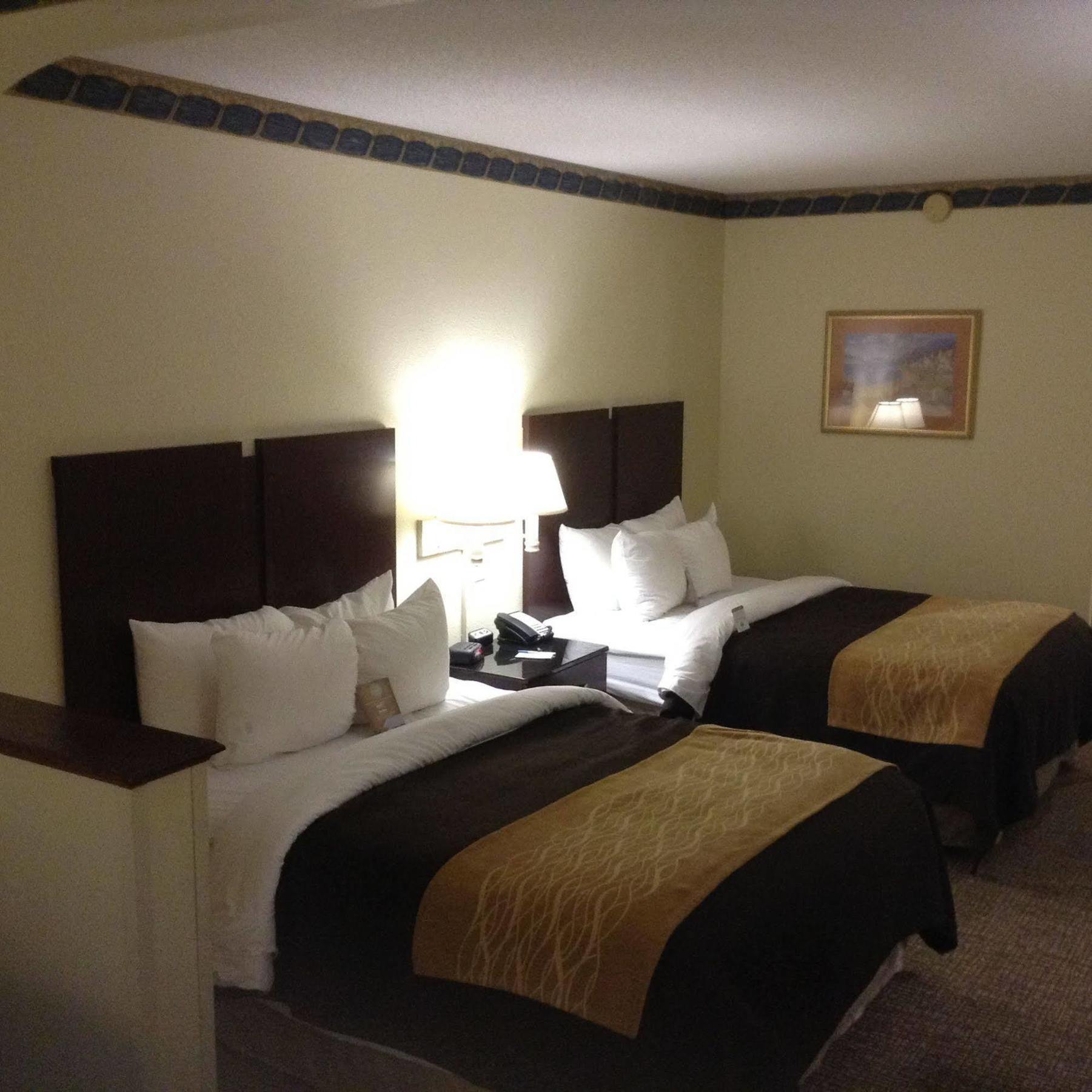 Comfort Inn & Suites Ftjackson Maingate Columbia Eksteriør bilde