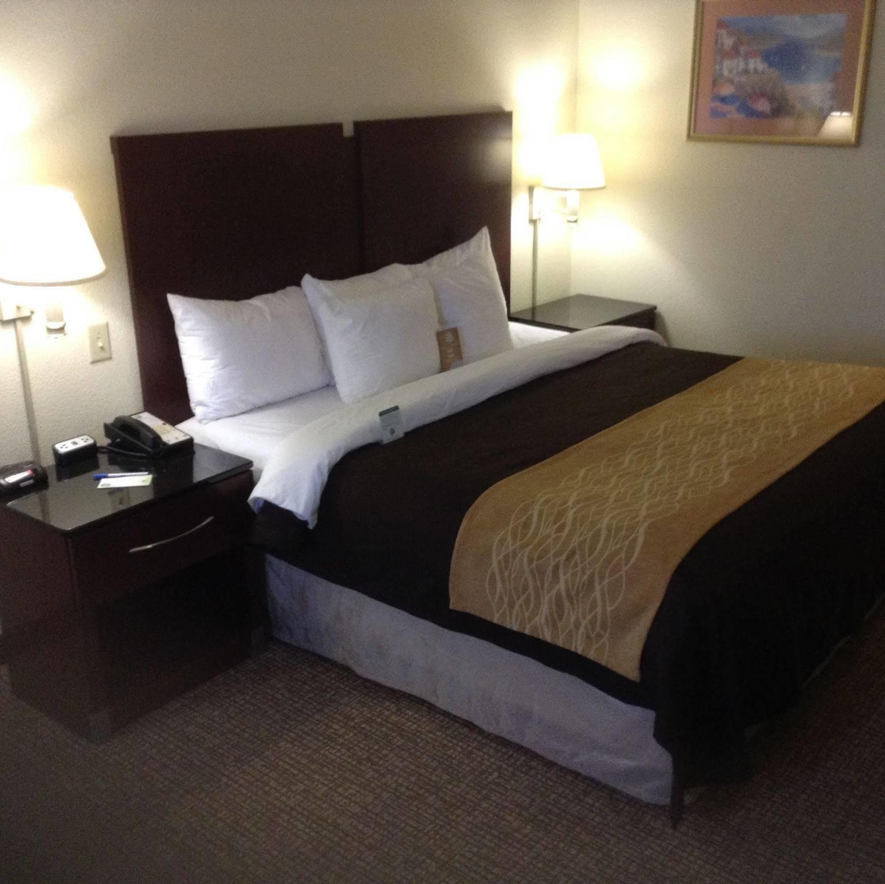 Comfort Inn & Suites Ftjackson Maingate Columbia Eksteriør bilde